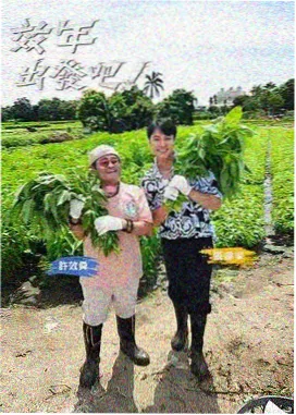 谢谢你来了